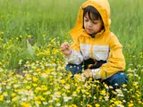 Young child in a raincoat exploring a field of wildflowers during allergy season